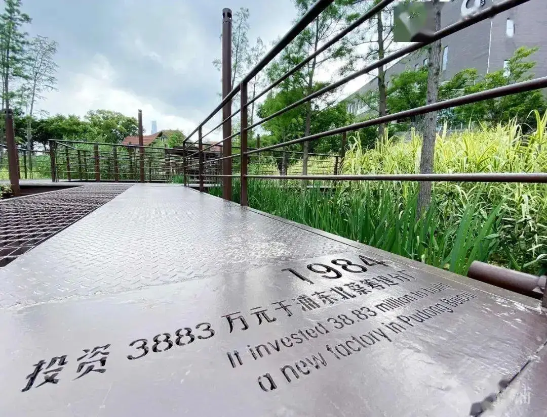 5.5公里楊浦濱江岸線，楊樹浦路變身“露天博物館”