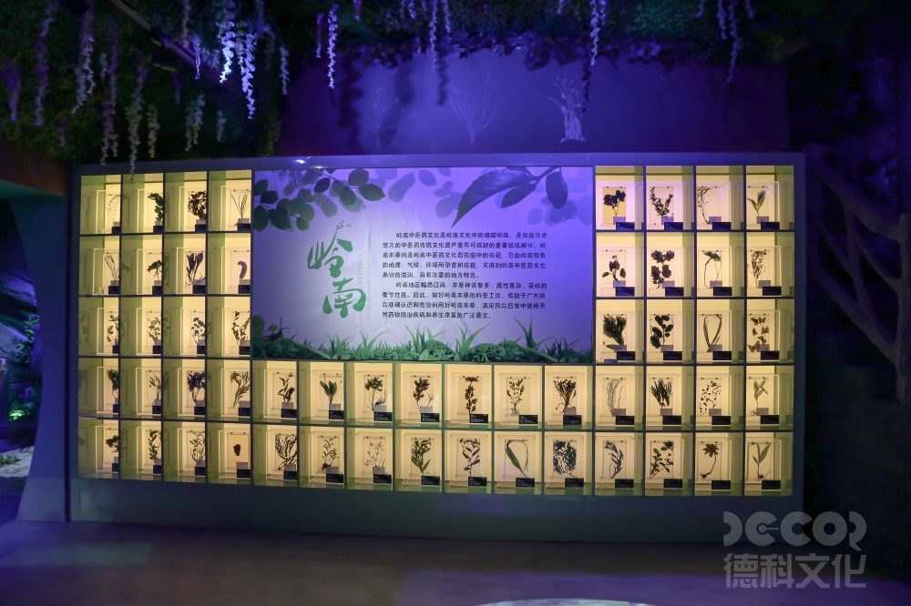 科技展廳設(shè)計(jì)中，如何合理利用空間和布局展示多個(gè)主題或領(lǐng)域？